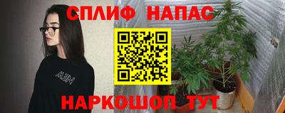 прущие грибы Ипатово