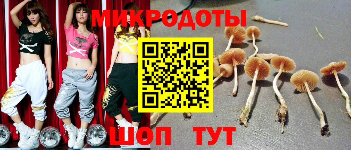Псилоцибиновые грибы Psilocybe  Вход с VPN  Волоколамск 